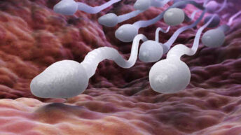 sperm alerjisi olup hamile kalanlar